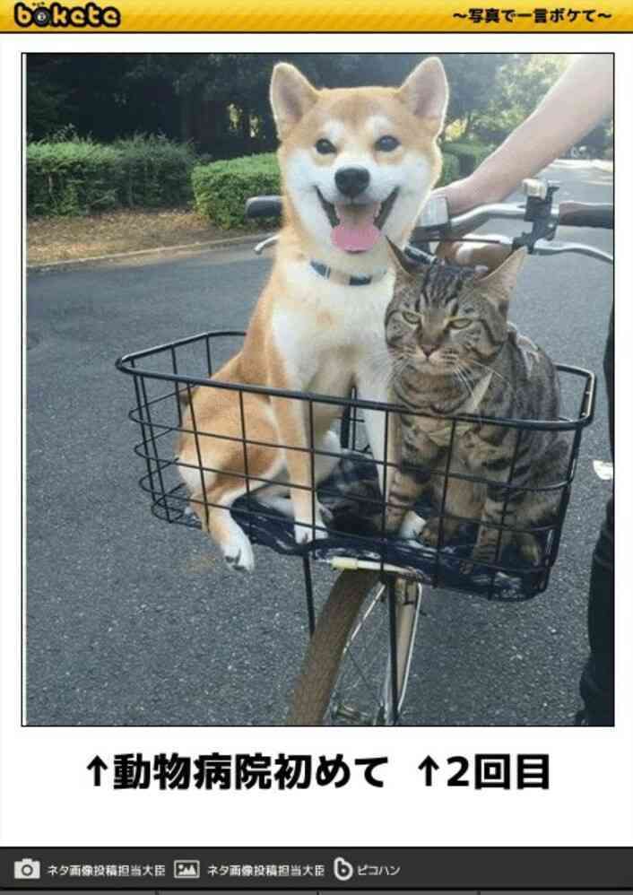 ハイチ、米宣教師ら15人誘拐