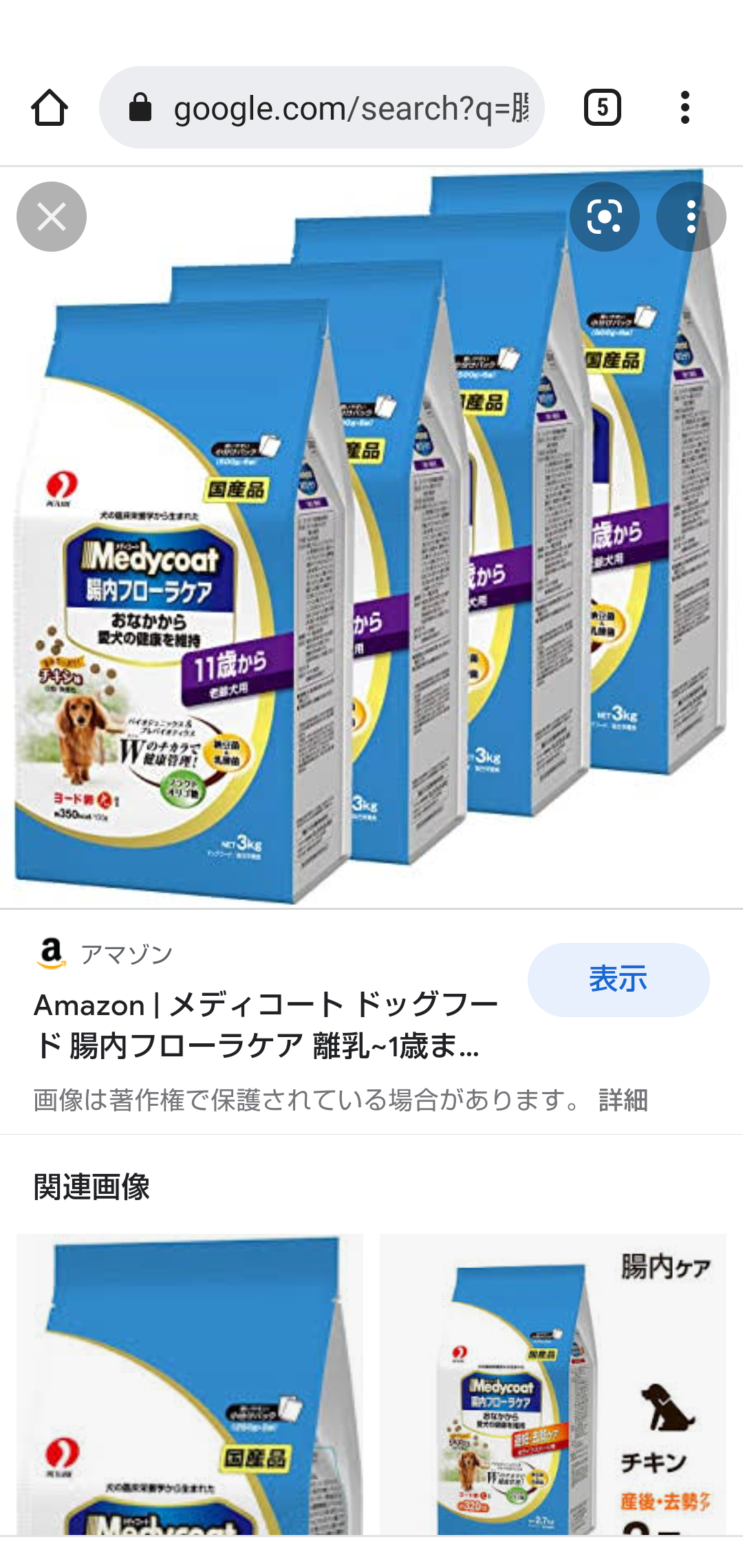 犬を飼う大変さ