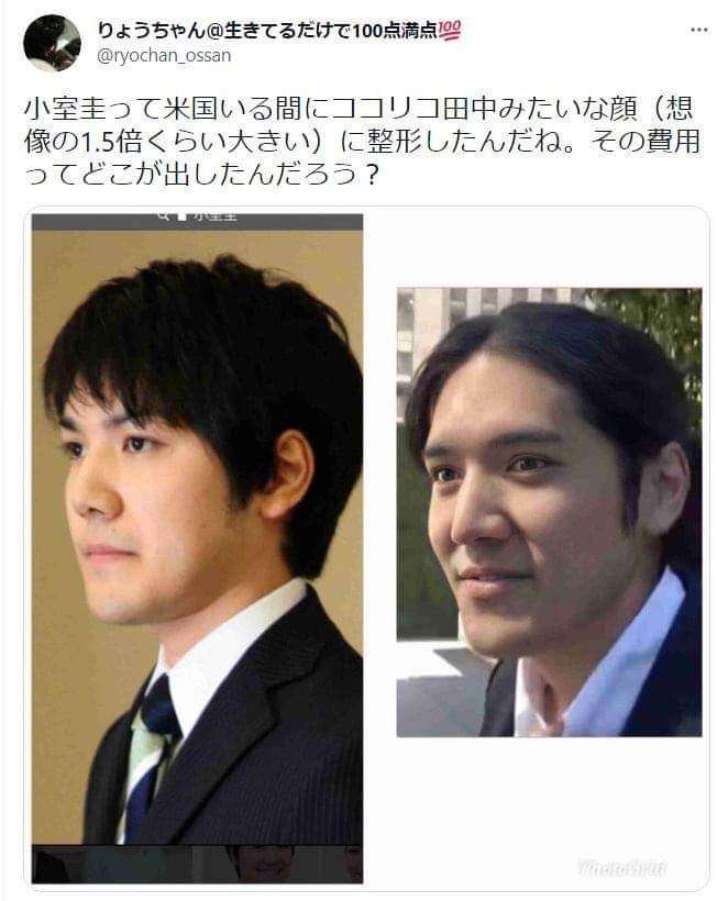 米の動物園で園内全てのライオン、トラがコロナ感染