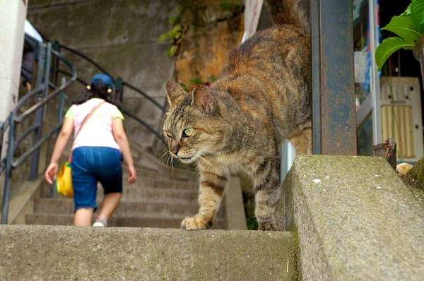 思わず「嘘っ！」と言ってしまいそうな画像を貼るトピ