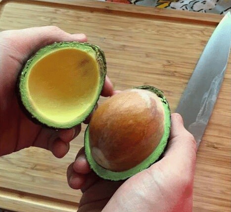 思わず「嘘っ！」と言ってしまいそうな画像を貼るトピ