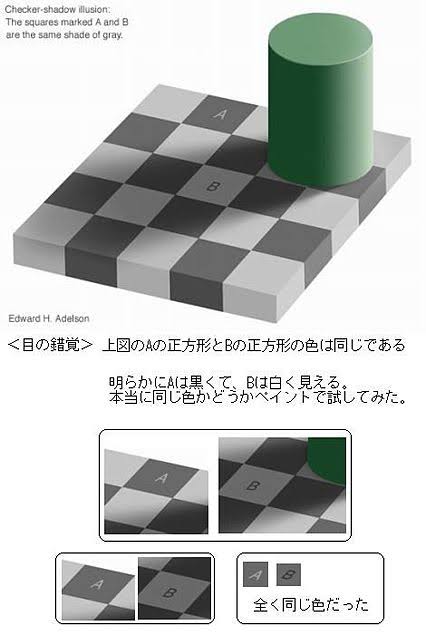 思わず「嘘っ！」と言ってしまいそうな画像を貼るトピ