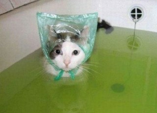 お風呂が最近好きになった人