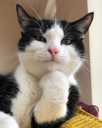 会った途端、全身を見る人の心理って?