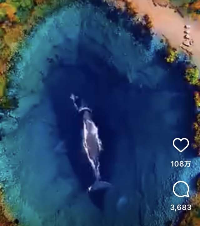 海洋恐怖症の人いますか?