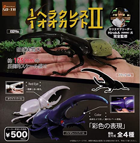 最近回したガチャガチャ