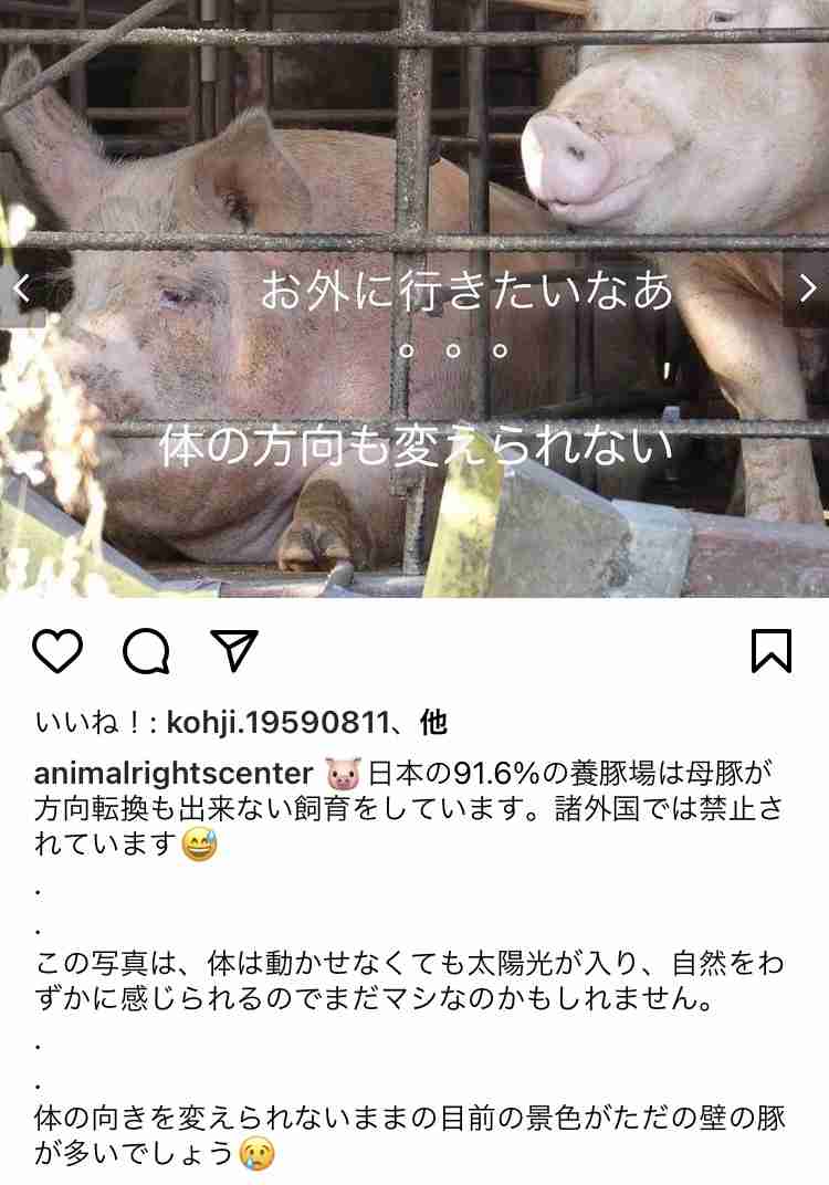 「人間ほど悪くて最低な動物はいないんよ」スーパーボランティア尾畠さんが明かした日本人の“食”についての“違和感”