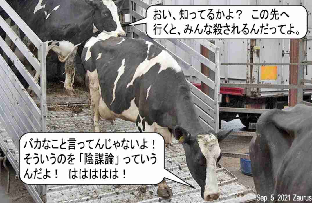 陰謀論に疲れた人part3