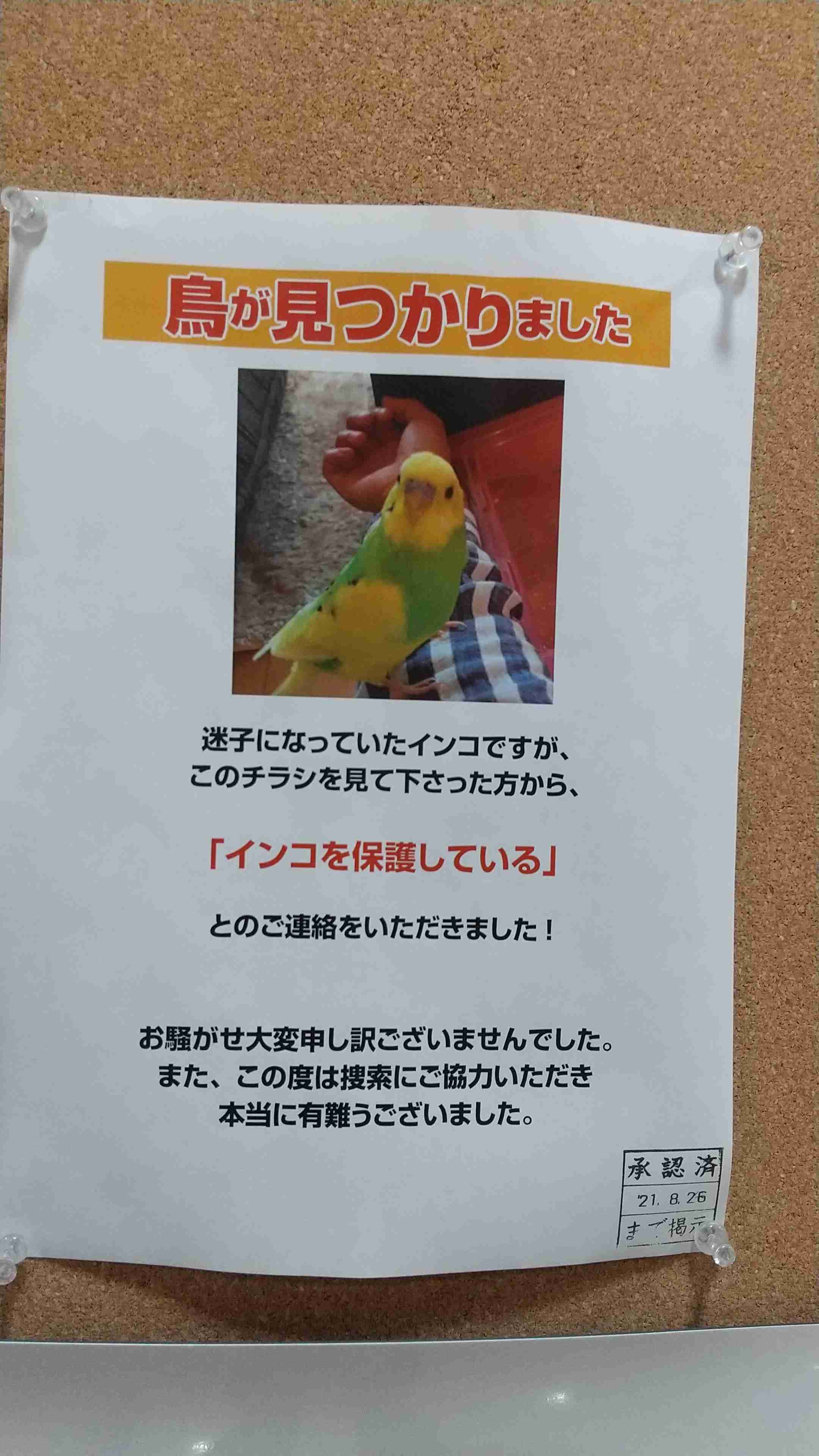 平日も雑談したい