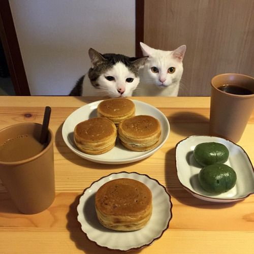 平日も雑談したい