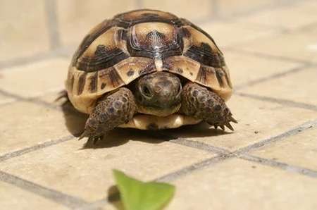 生理が来た時の気持ちを顔文字・絵文字・画像で表すと？