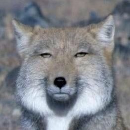 生理が来た時の気持ちを顔文字・絵文字・画像で表すと？