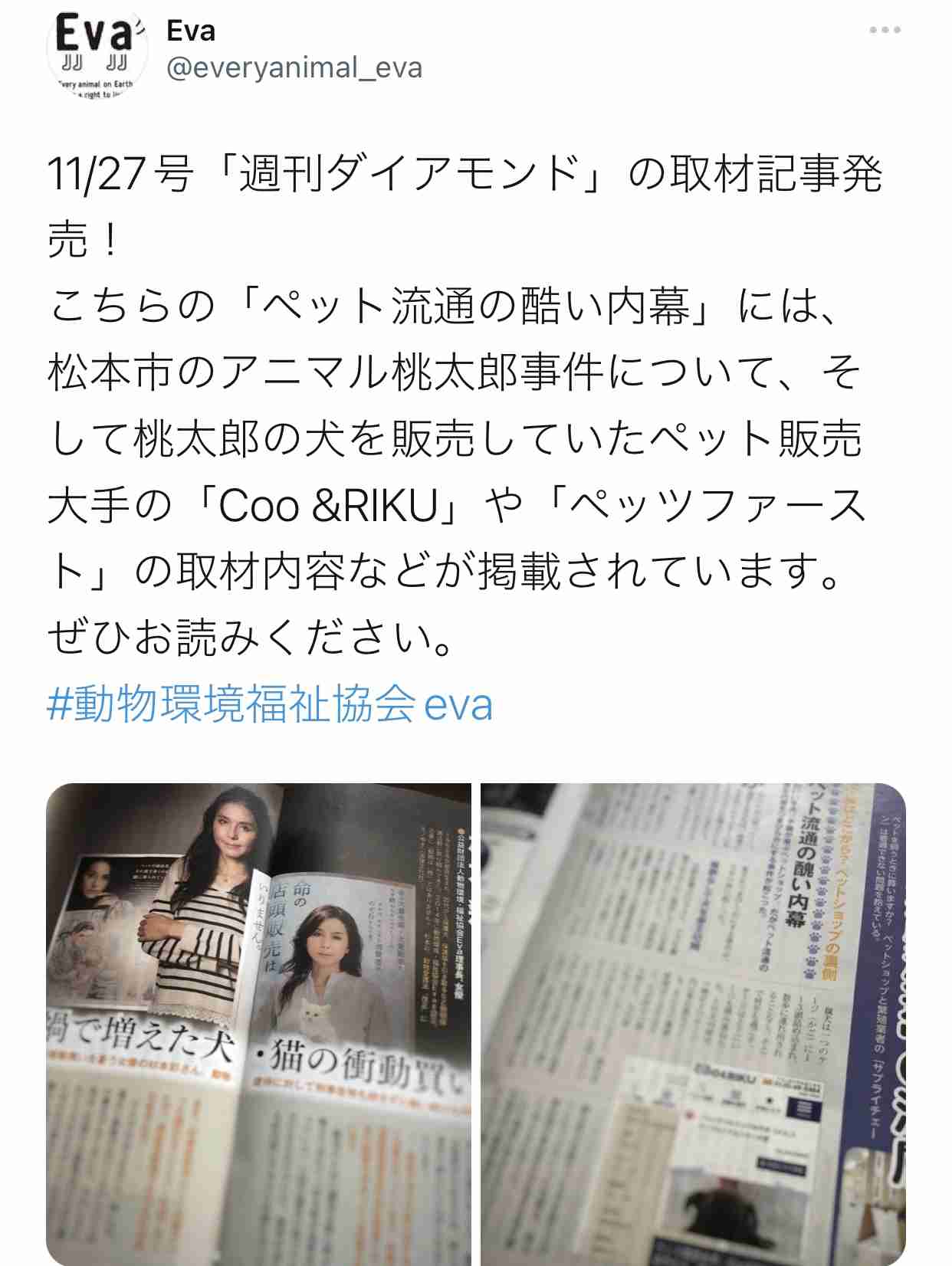 巣ごもりペット需要の一方で、飼育放棄も増加… 『その一目惚れ 迷惑です』に込められた思い