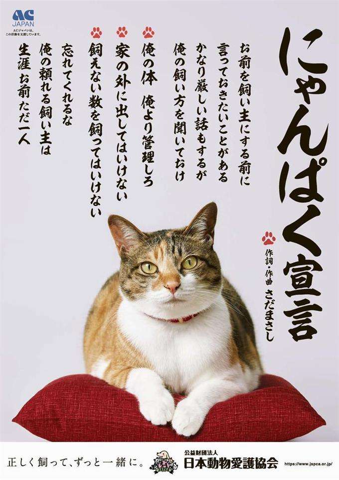 巣ごもりペット需要の一方で、飼育放棄も増加… 『その一目惚れ 迷惑です』に込められた思い