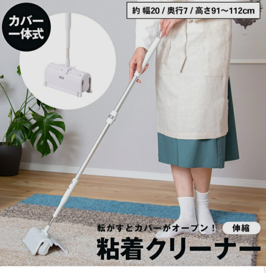 掃除機を使わない掃除