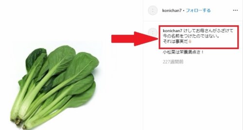 菅田将暉&小松菜奈が結婚発表！映画共演きっかけ、交際2年でゴールイン