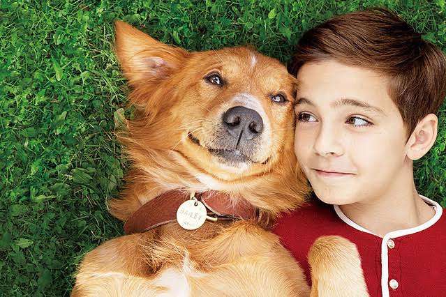 映画館で周りが号泣してた作品