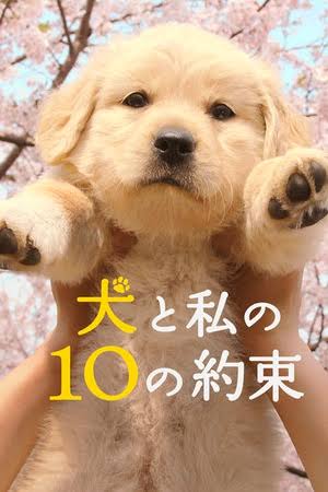 映画館で周りが号泣してた作品