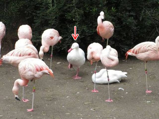 【仕事】新人の時あるある