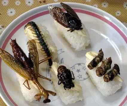 羅臼沖でサバが“異例の大漁”去年の水揚げの100倍超 秋サケ不漁の一方で漁師は「こんなの初めて」