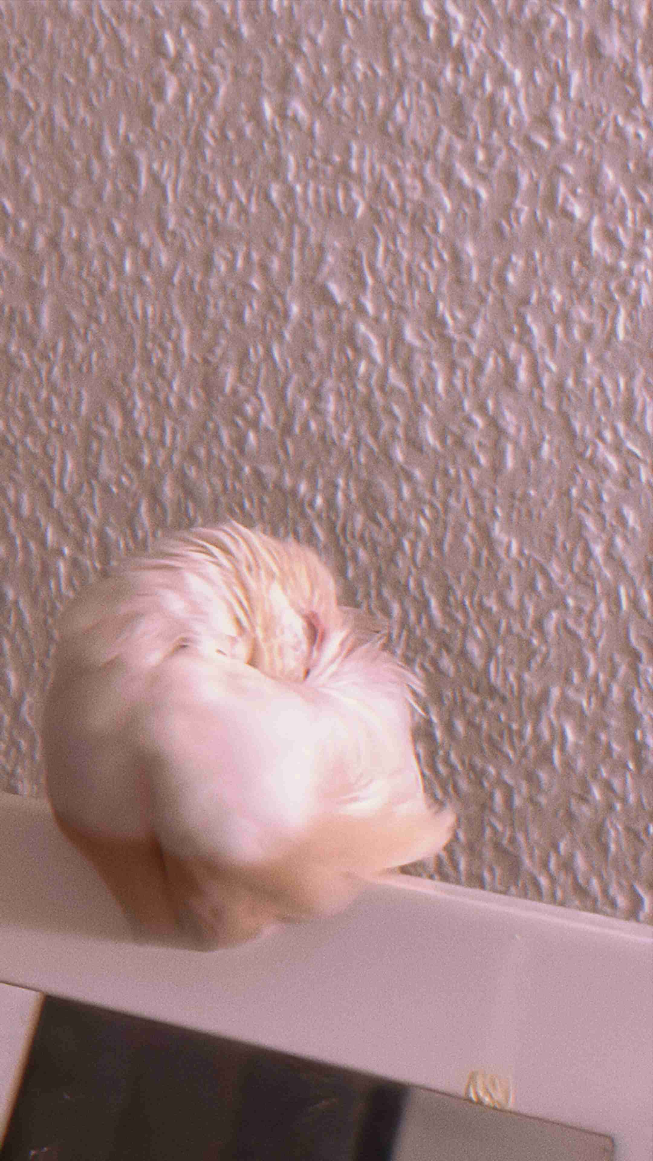 人生これがあれば生きていける！という物