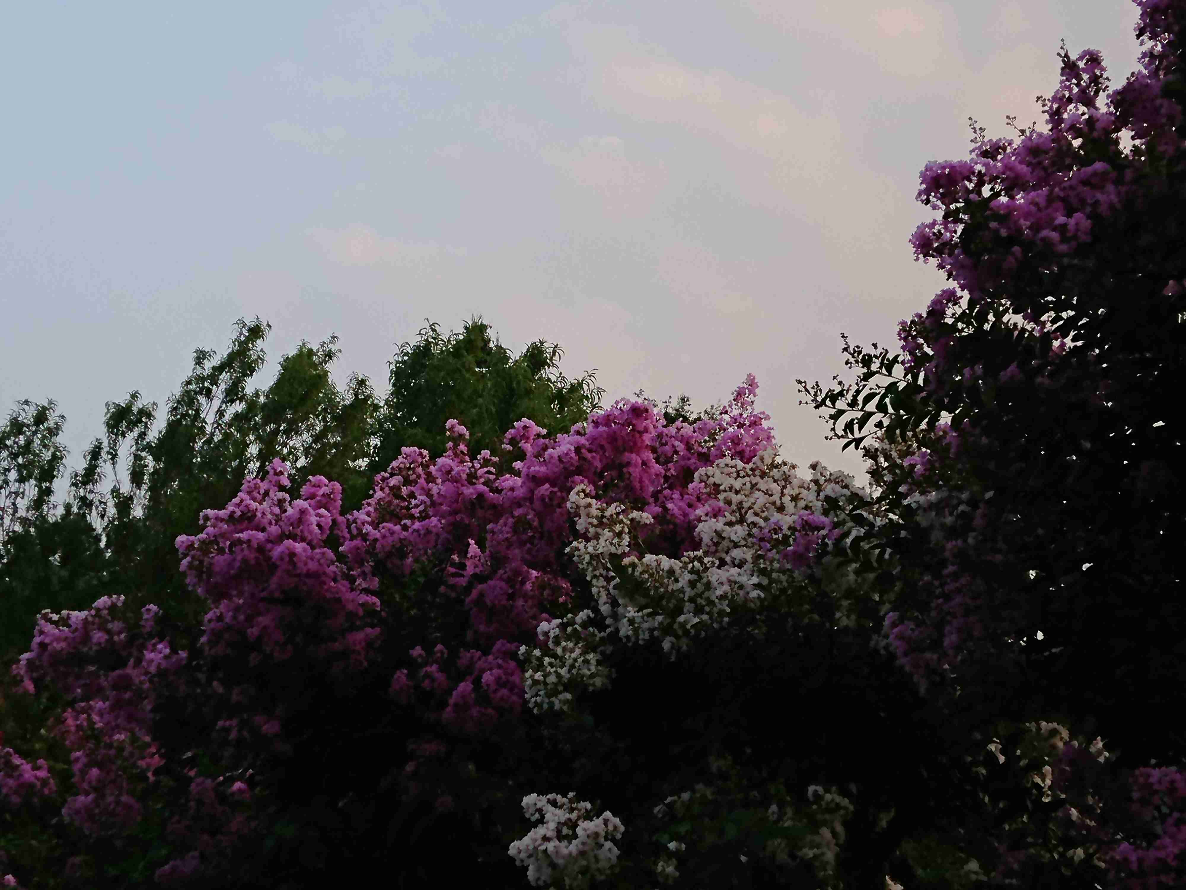 撮ったはいいけど誰にも見せられない写真を供養するトピ