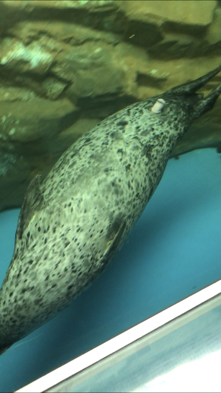 撮ったはいいけど誰にも見せられない写真を供養するトピ