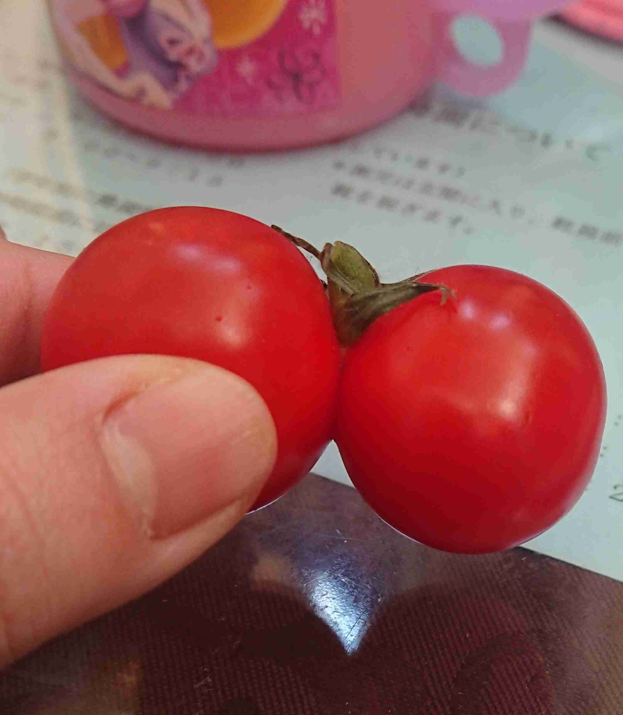 撮ったはいいけど誰にも見せられない写真を供養するトピ