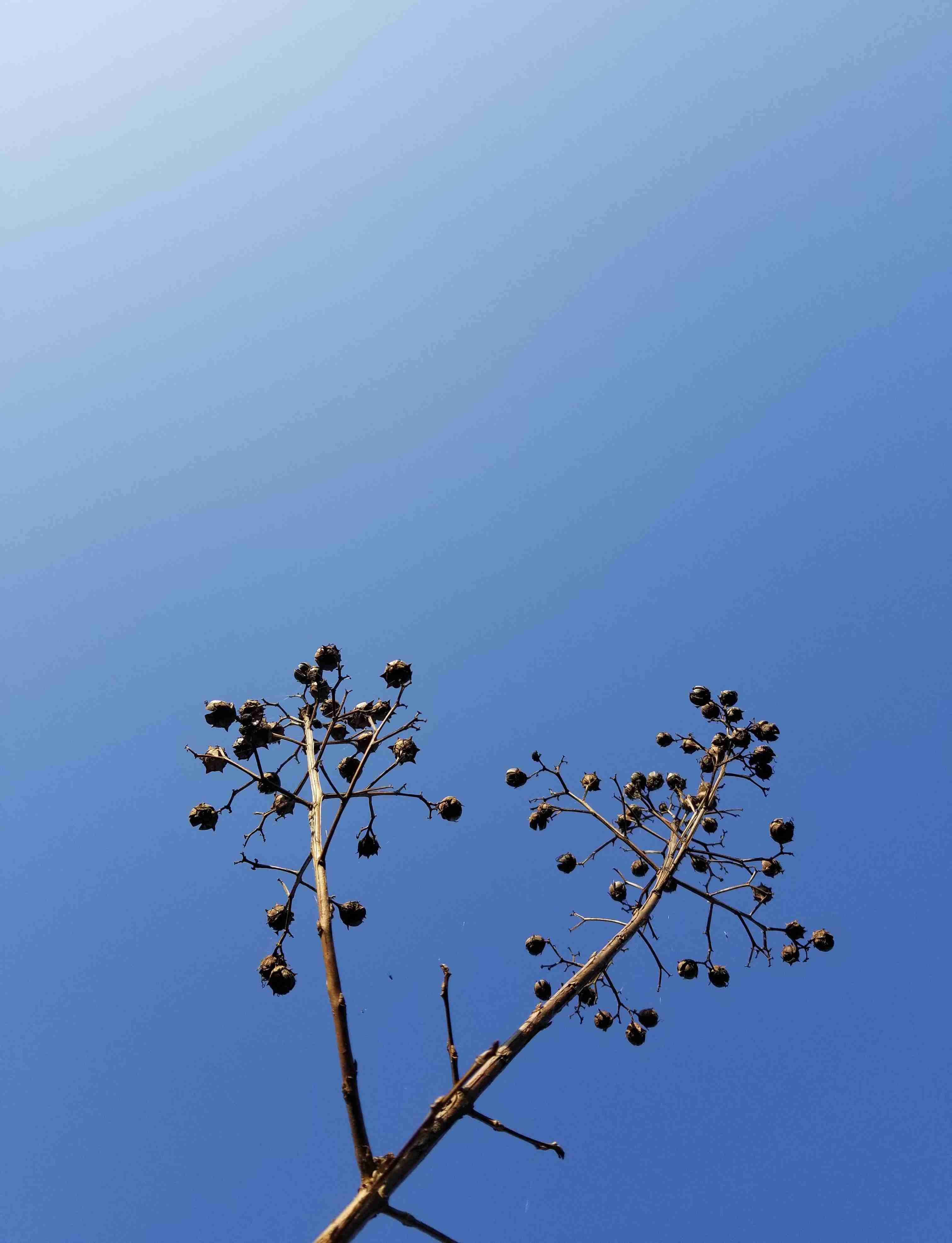 撮ったはいいけど誰にも見せられない写真を供養するトピ