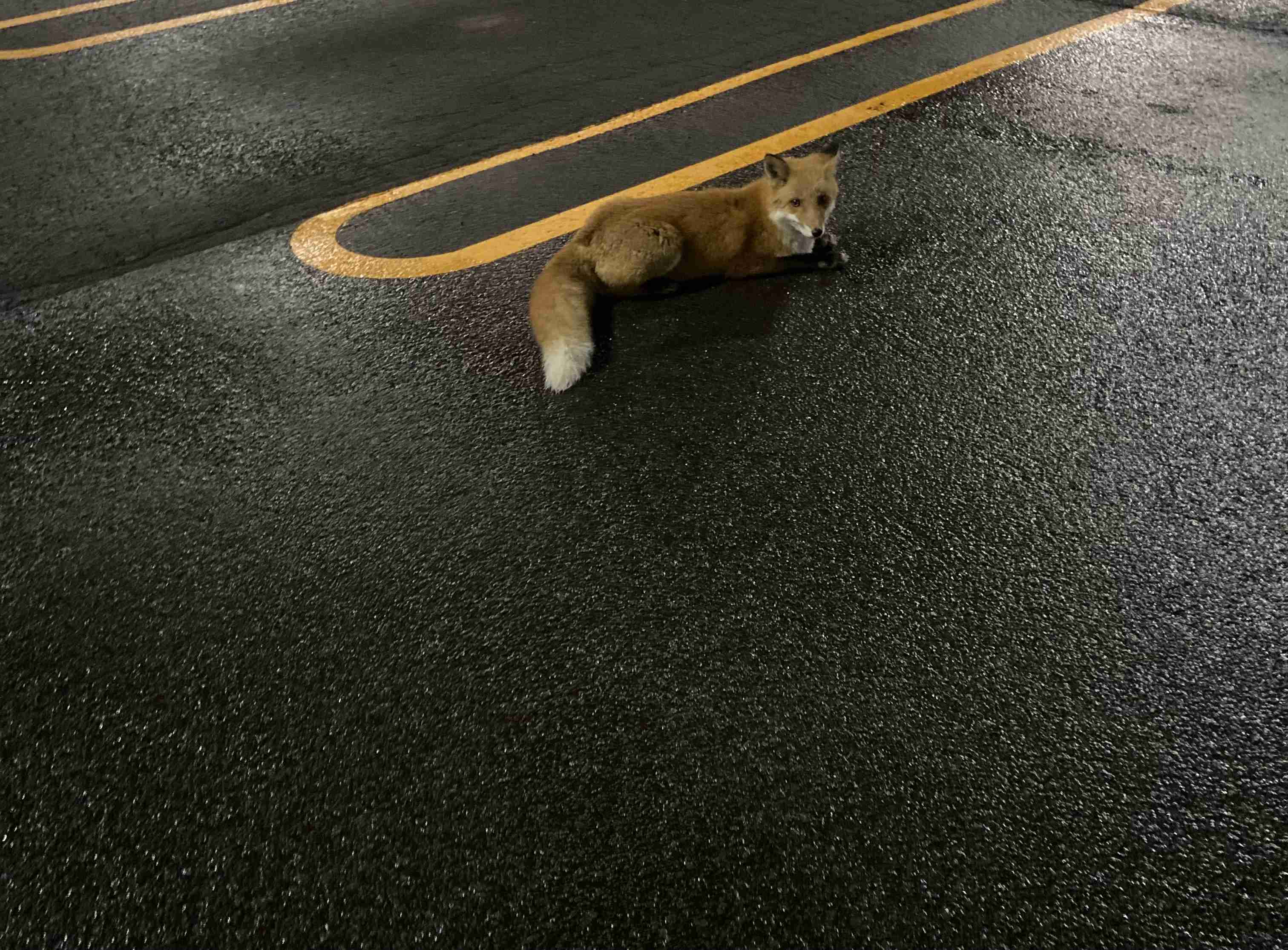 撮ったはいいけど誰にも見せられない写真を供養するトピ