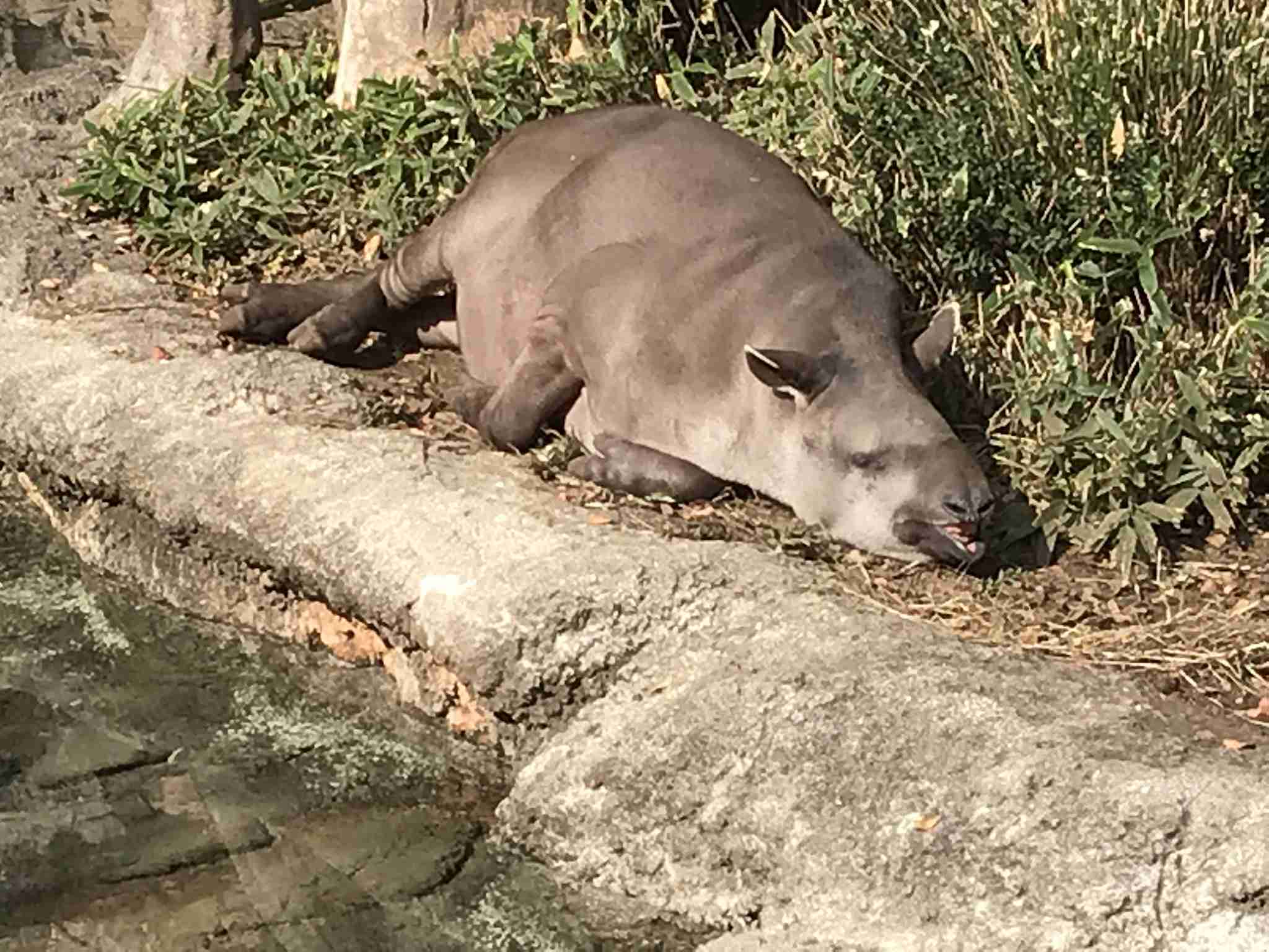 撮ったはいいけど誰にも見せられない写真を供養するトピ