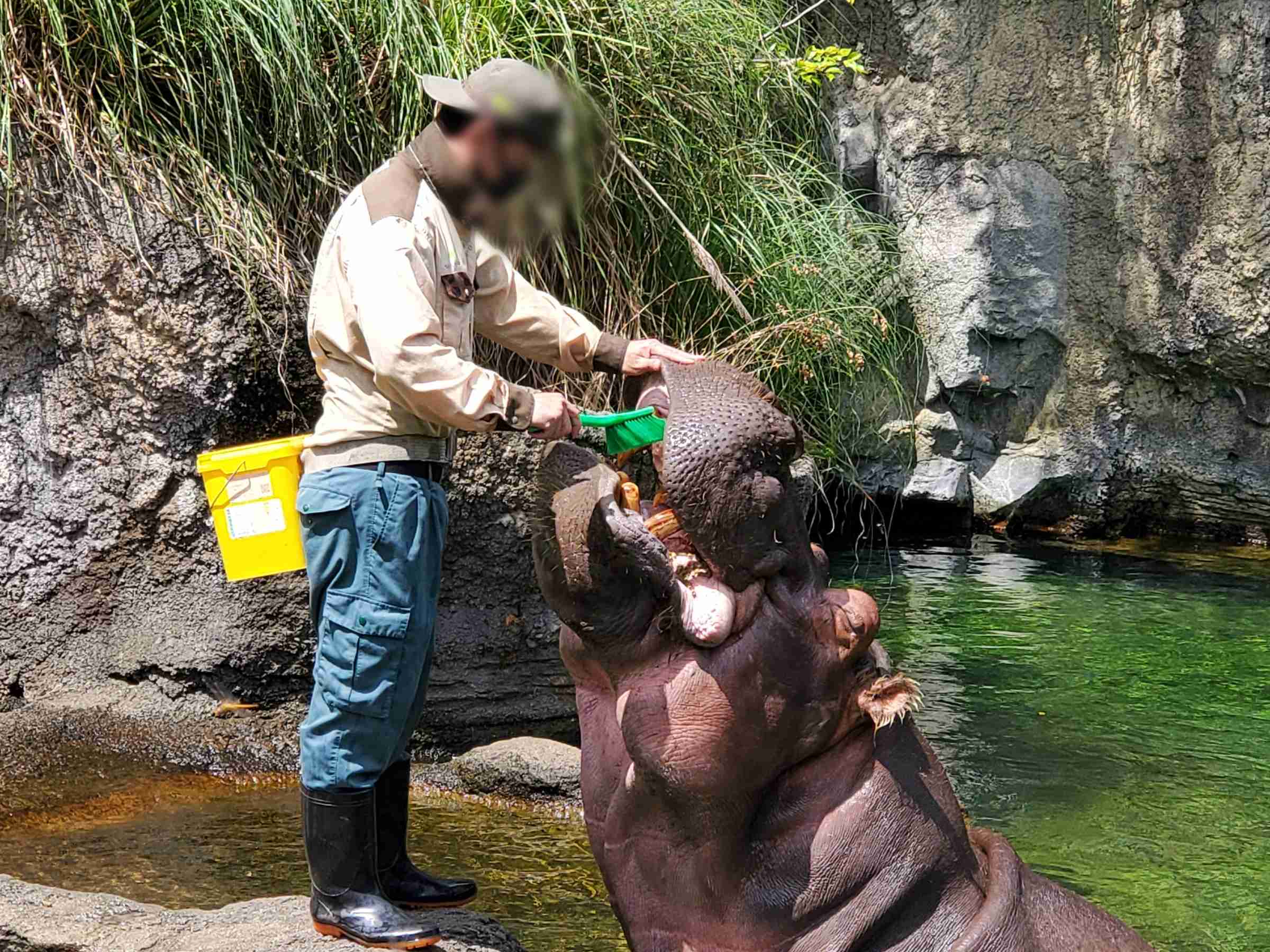 撮ったはいいけど誰にも見せられない写真を供養するトピ