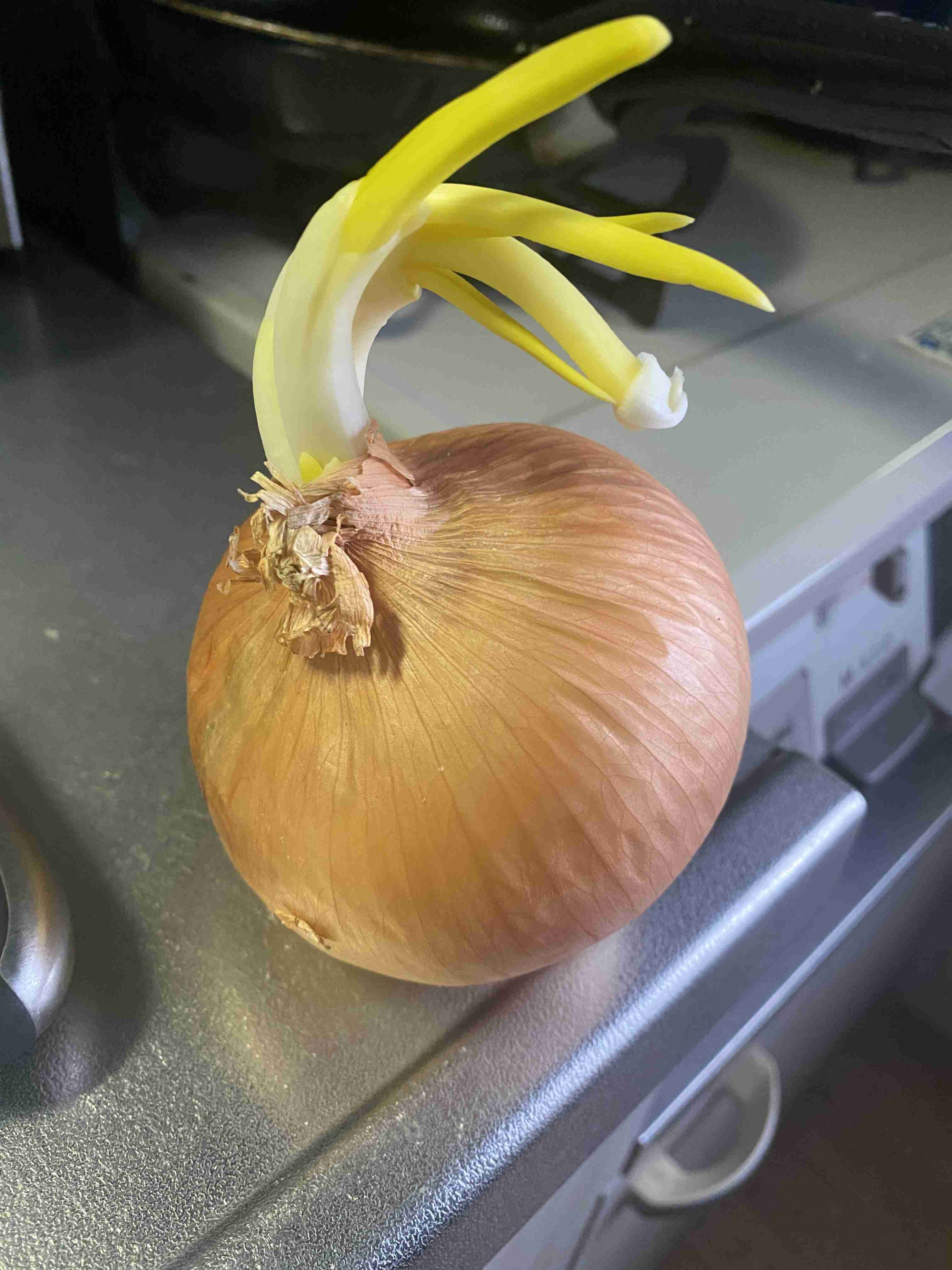 撮ったはいいけど誰にも見せられない写真を供養するトピ