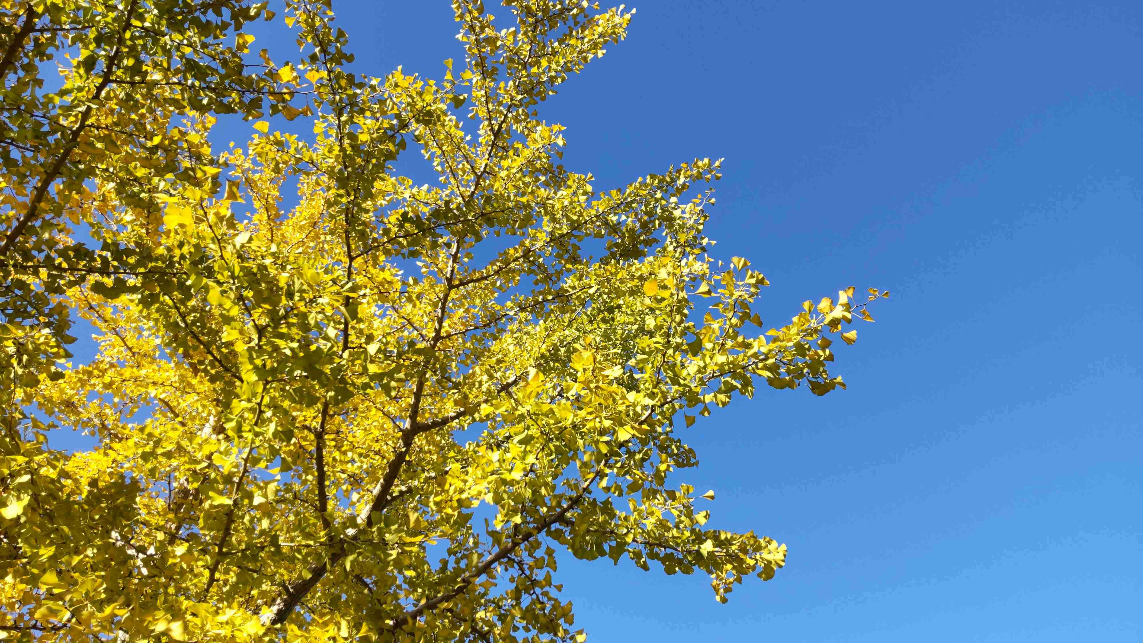 撮ったはいいけど誰にも見せられない写真を供養するトピ