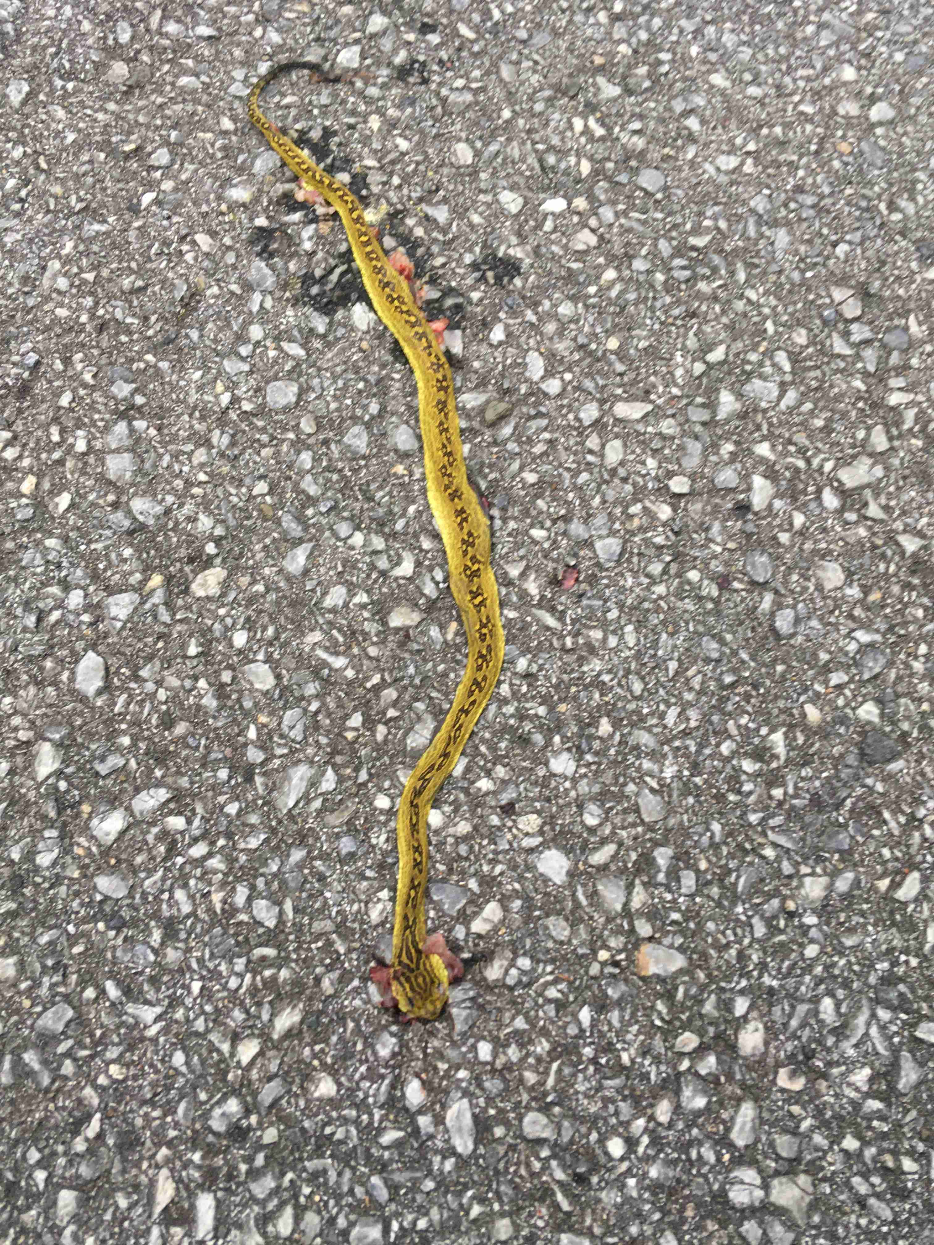 撮ったはいいけど誰にも見せられない写真を供養するトピ