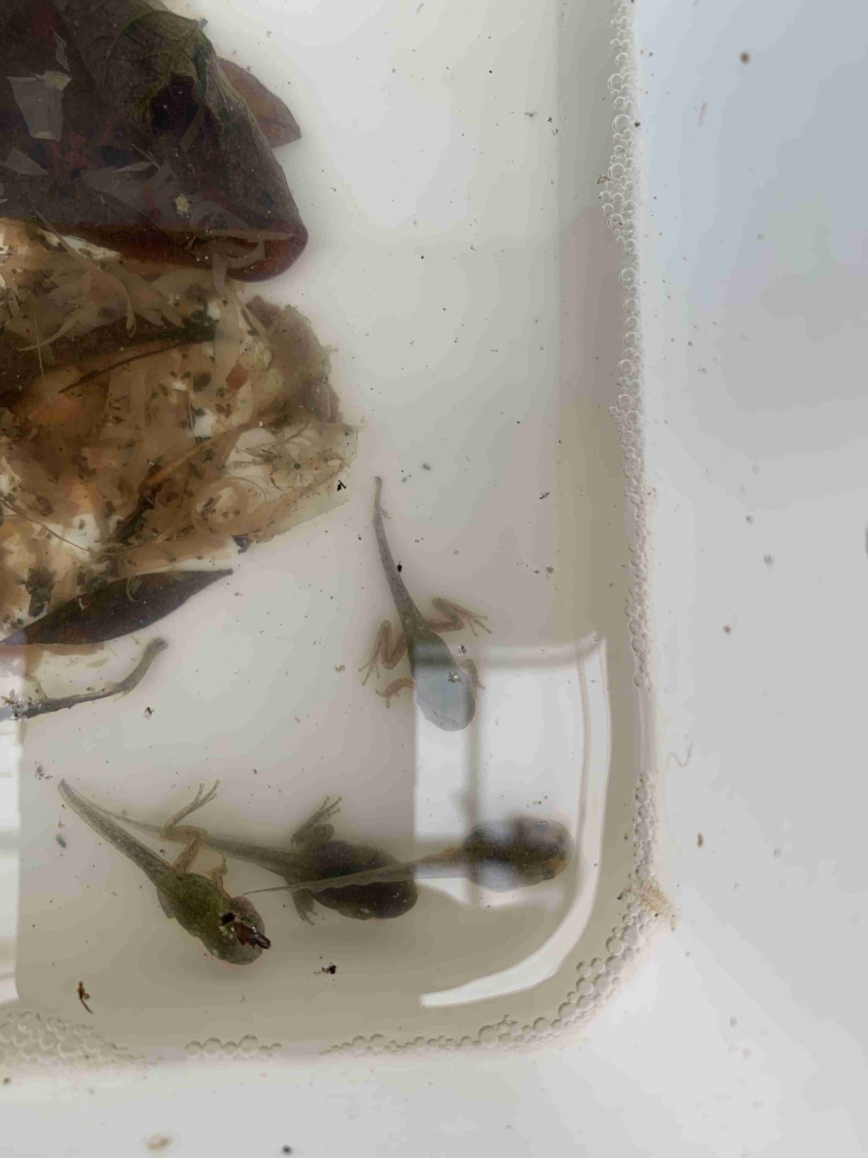 撮ったはいいけど誰にも見せられない写真を供養するトピ