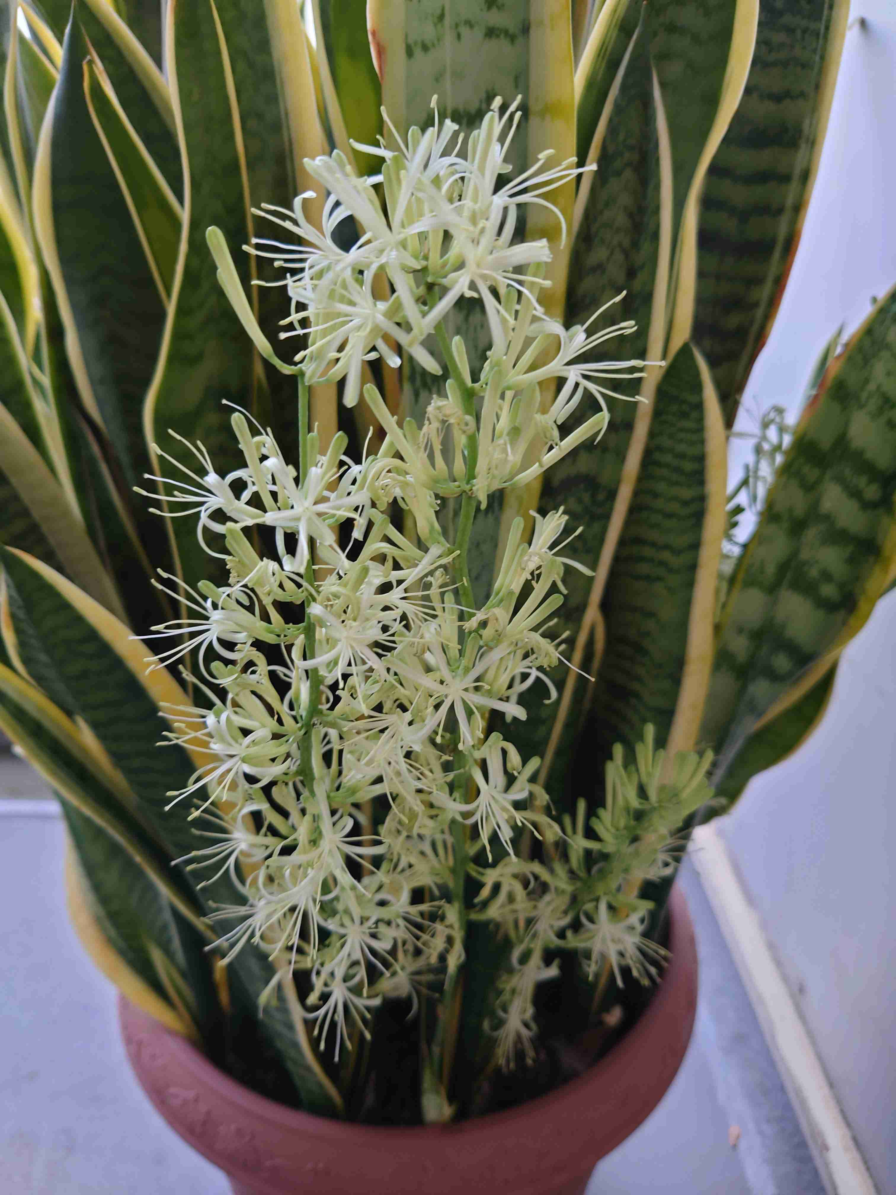 撮ったはいいけど誰にも見せられない写真を供養するトピ