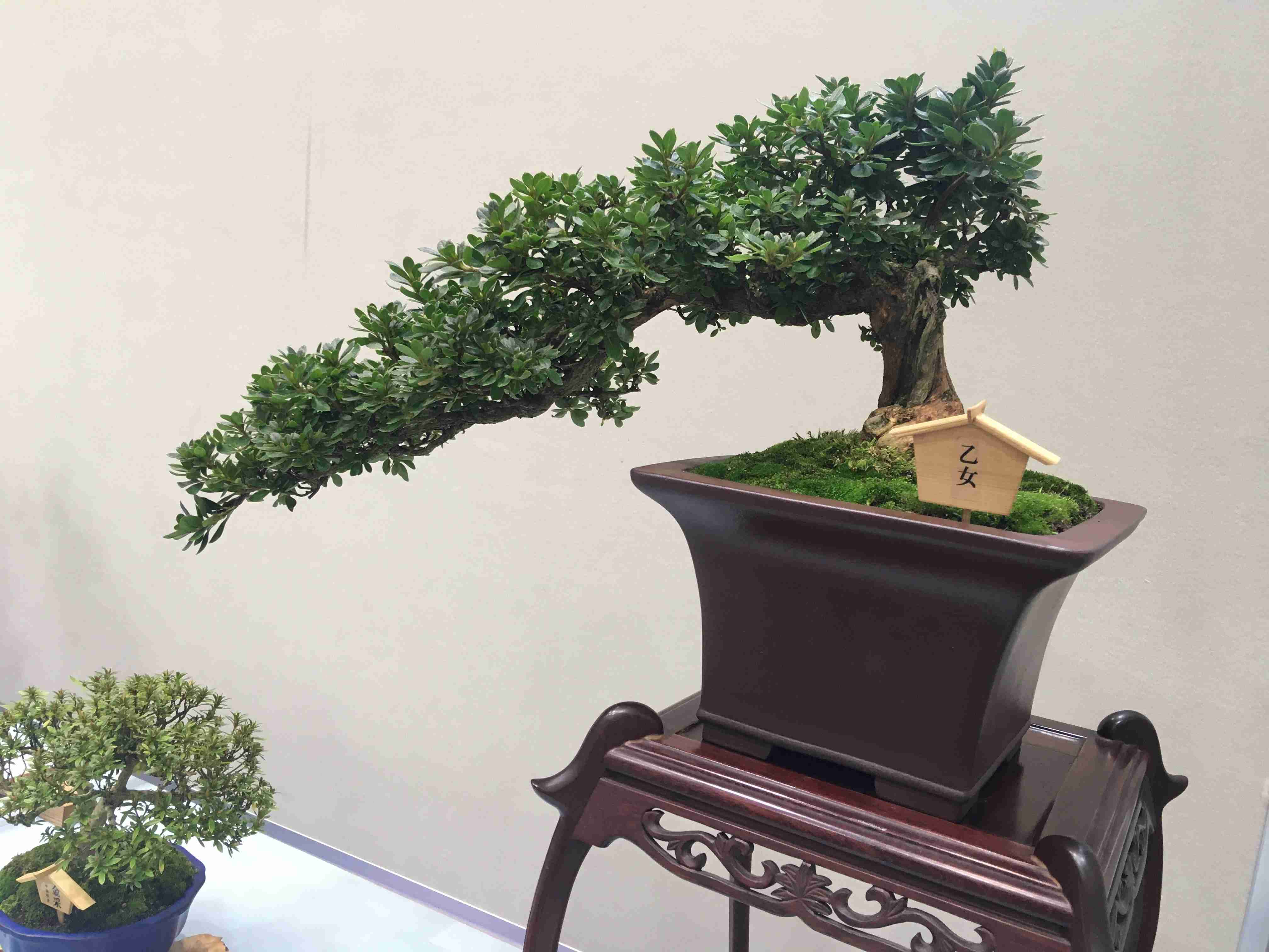 撮ったはいいけど誰にも見せられない写真を供養するトピ