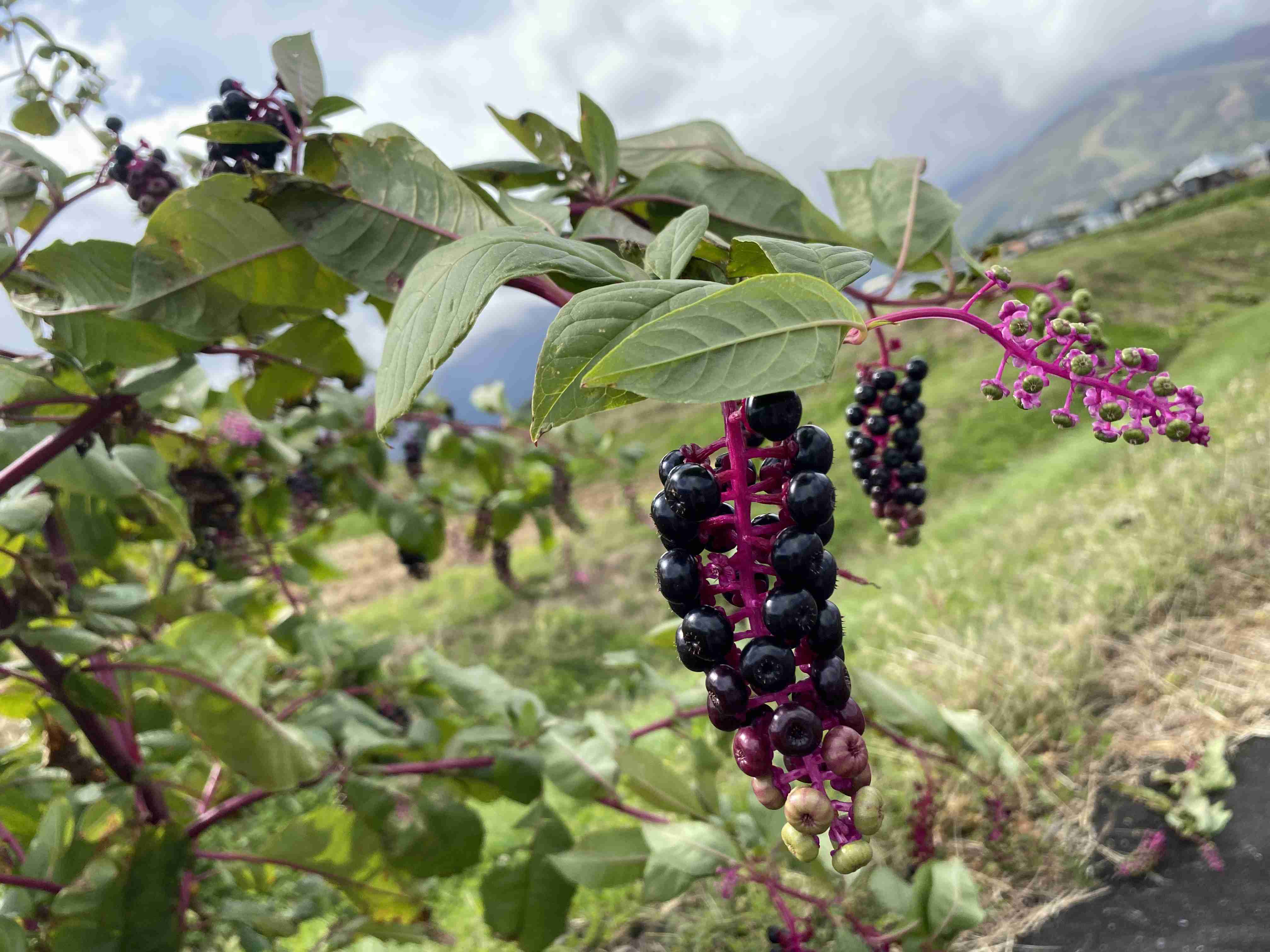 撮ったはいいけど誰にも見せられない写真を供養するトピ