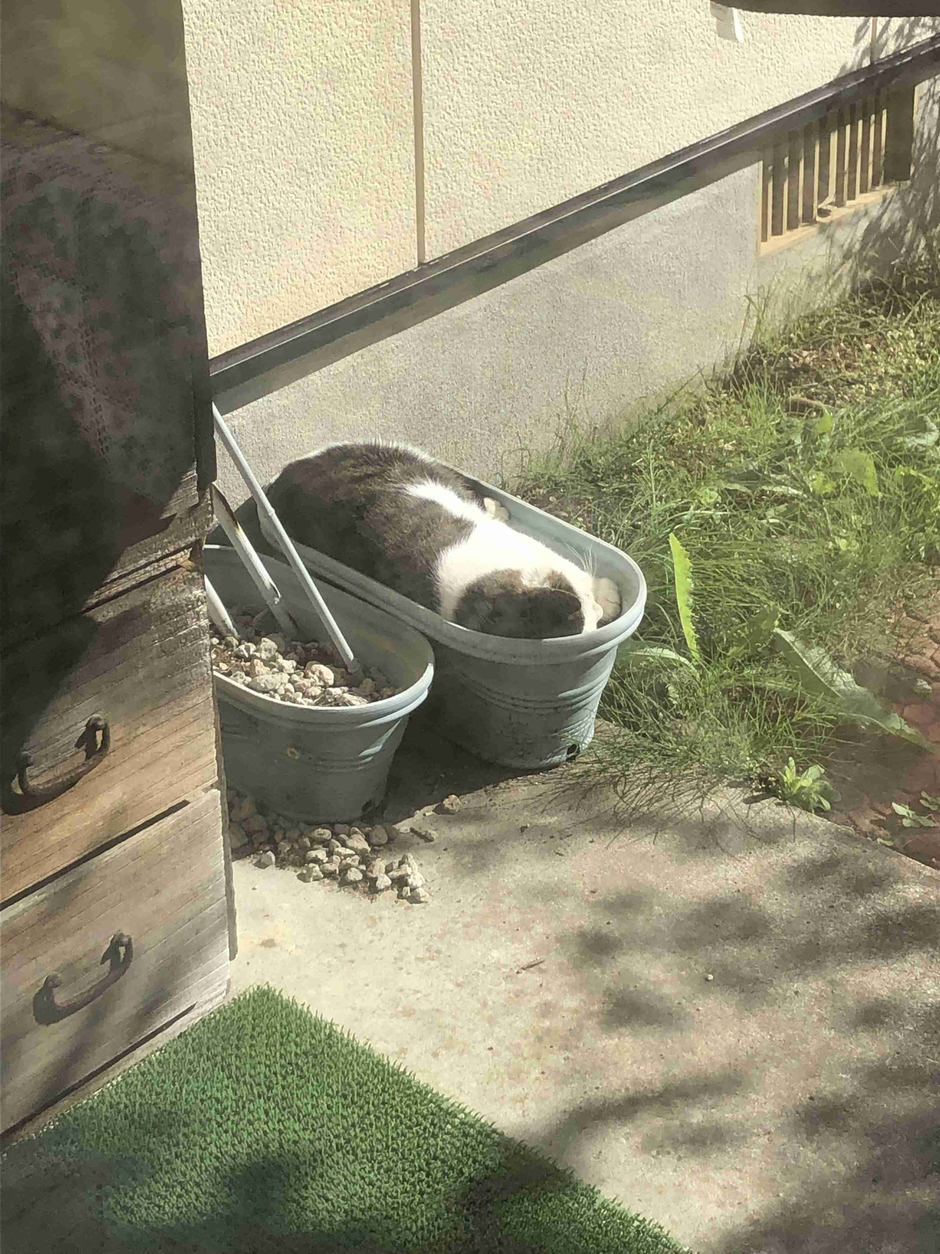 撮ったはいいけど誰にも見せられない写真を供養するトピ