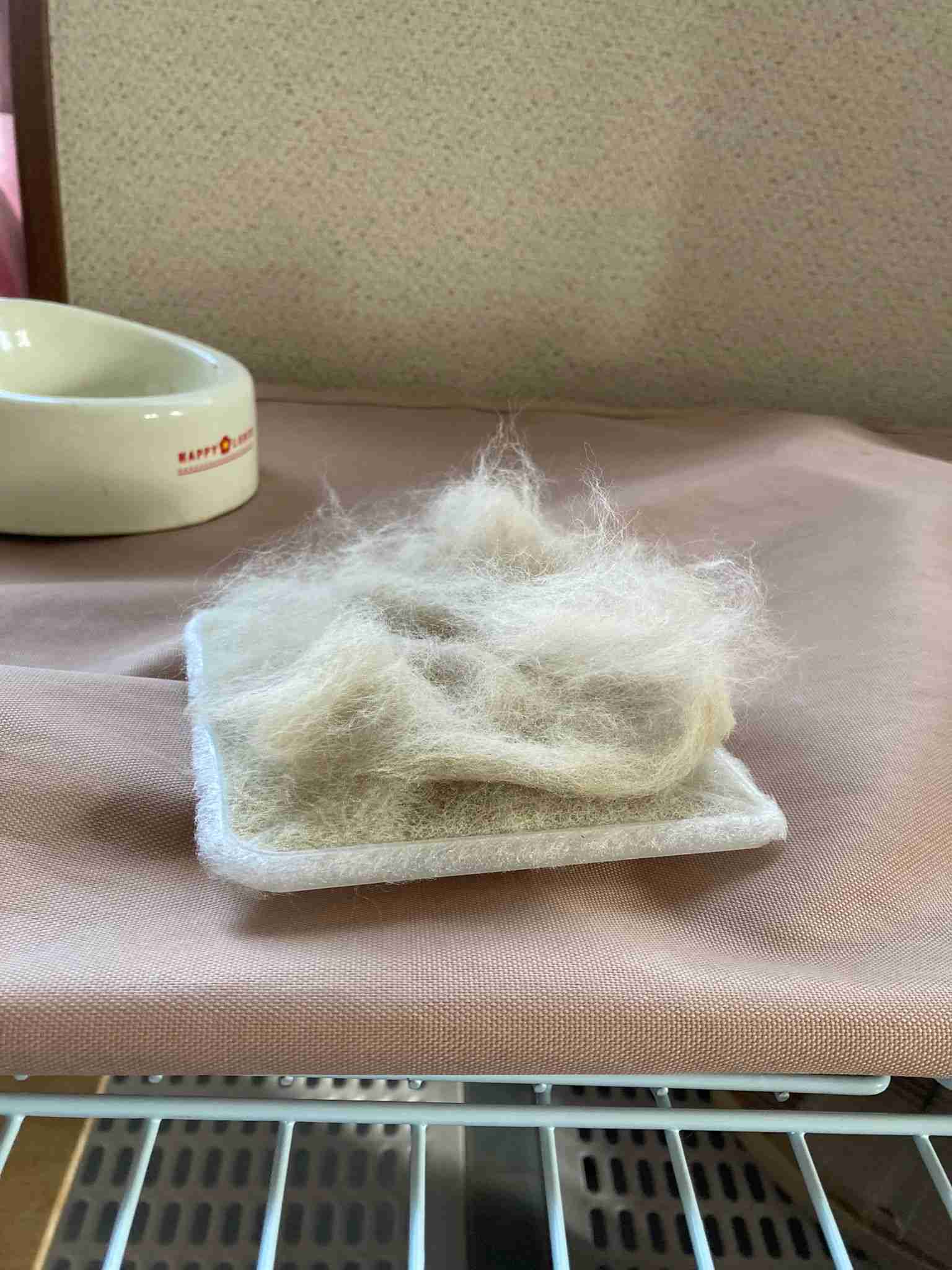 撮ったはいいけど誰にも見せられない写真を供養するトピ