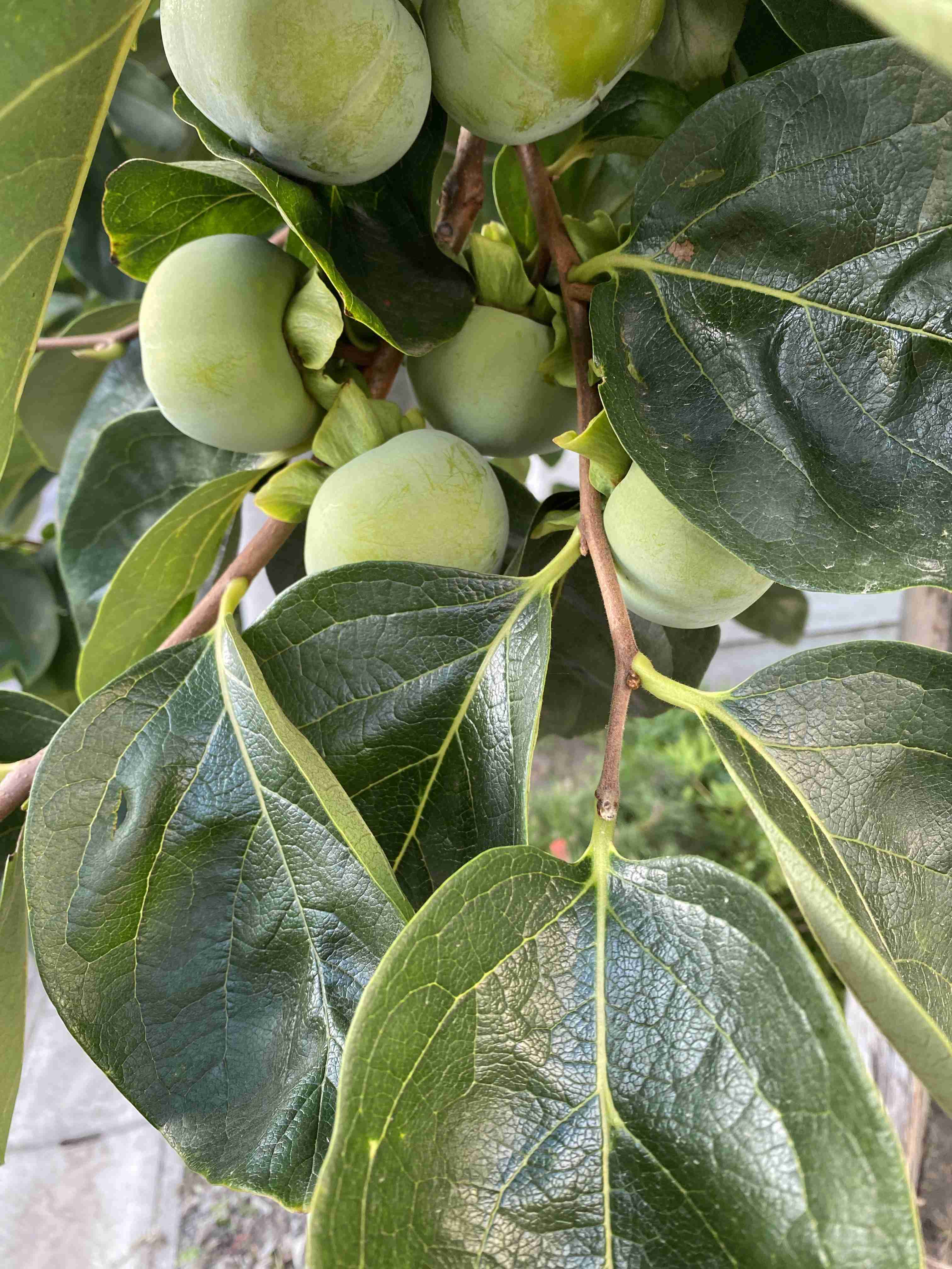 撮ったはいいけど誰にも見せられない写真を供養するトピ