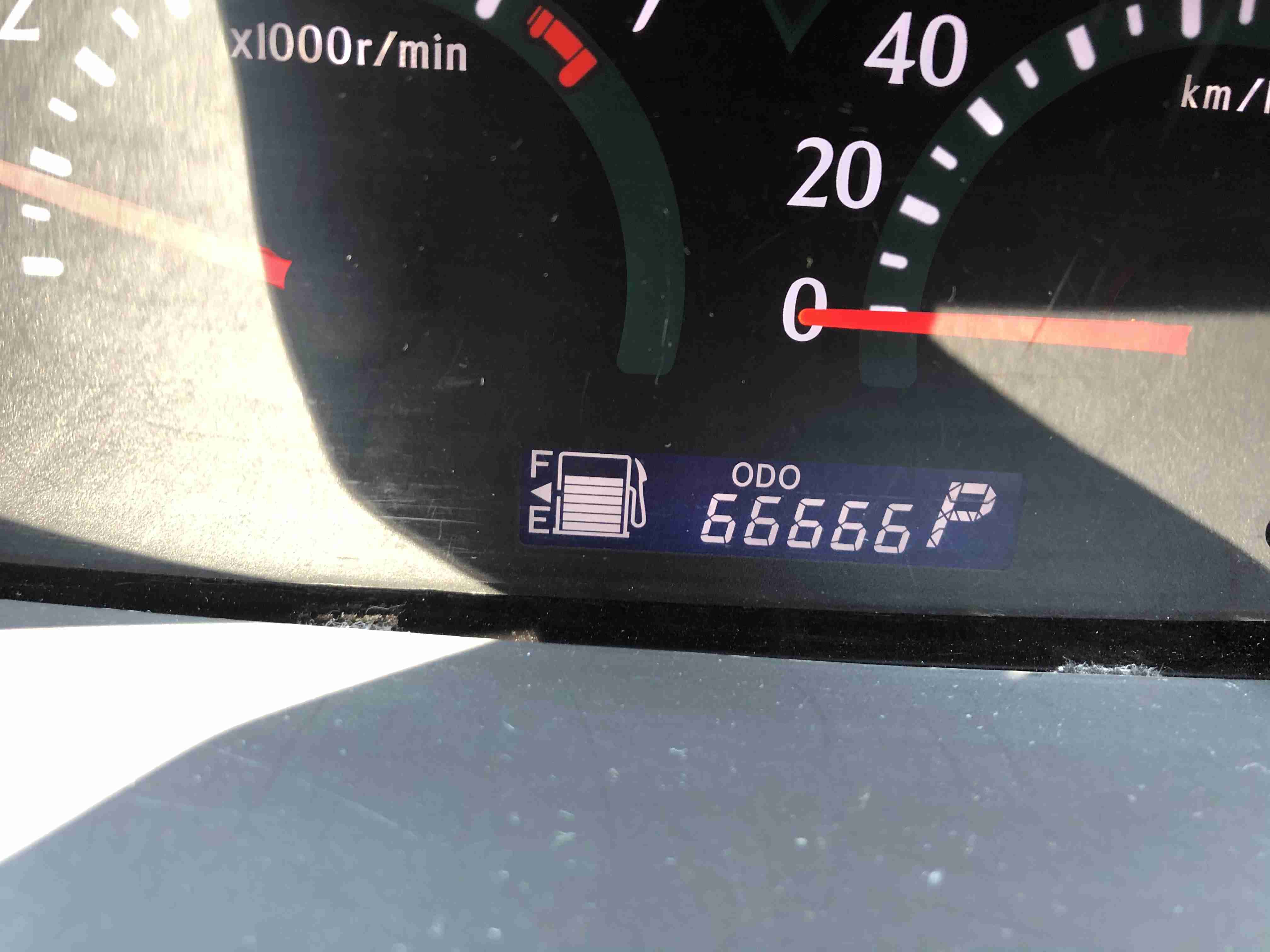 撮ったはいいけど誰にも見せられない写真を供養するトピ