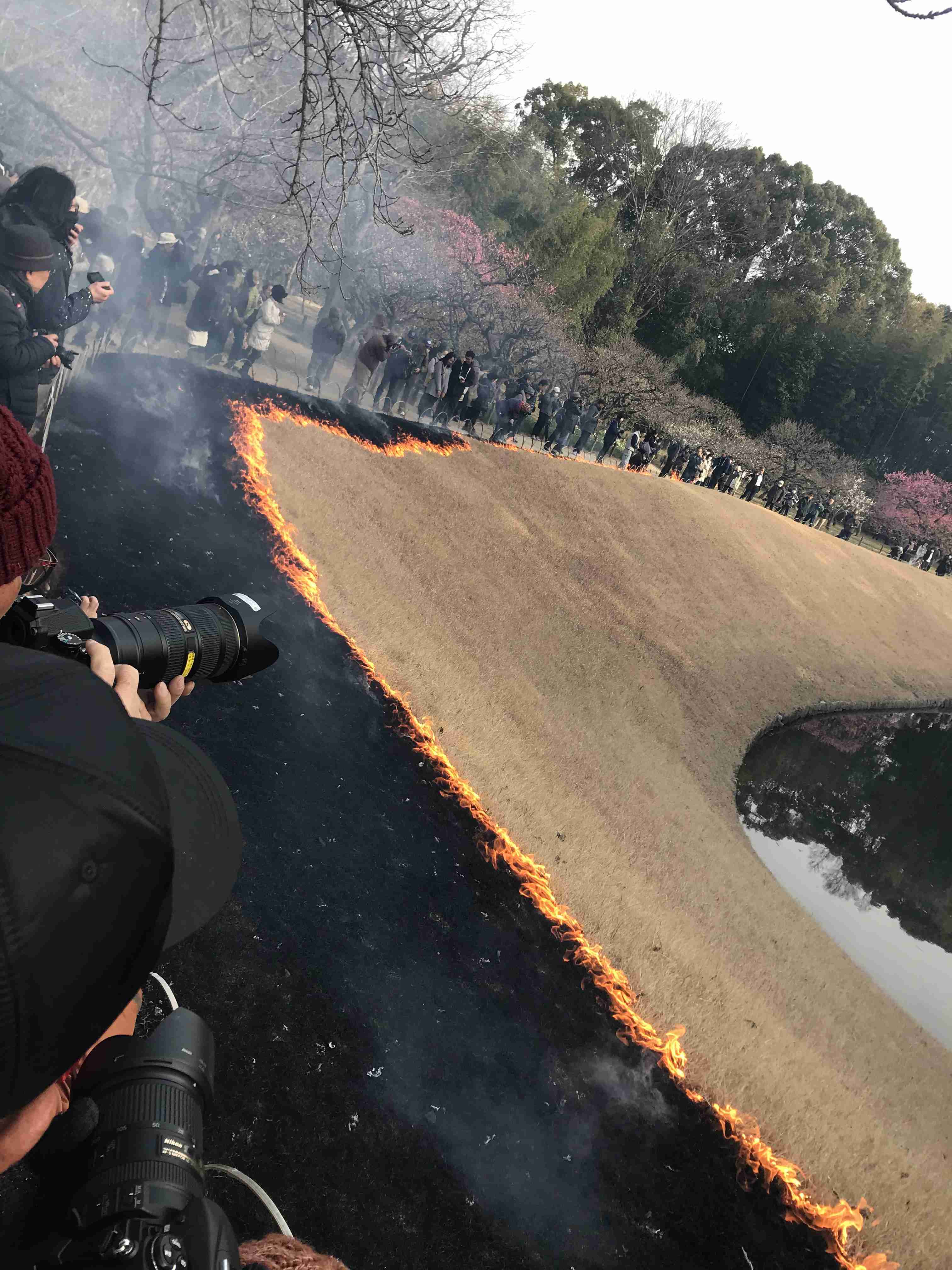 撮ったはいいけど誰にも見せられない写真を供養するトピ