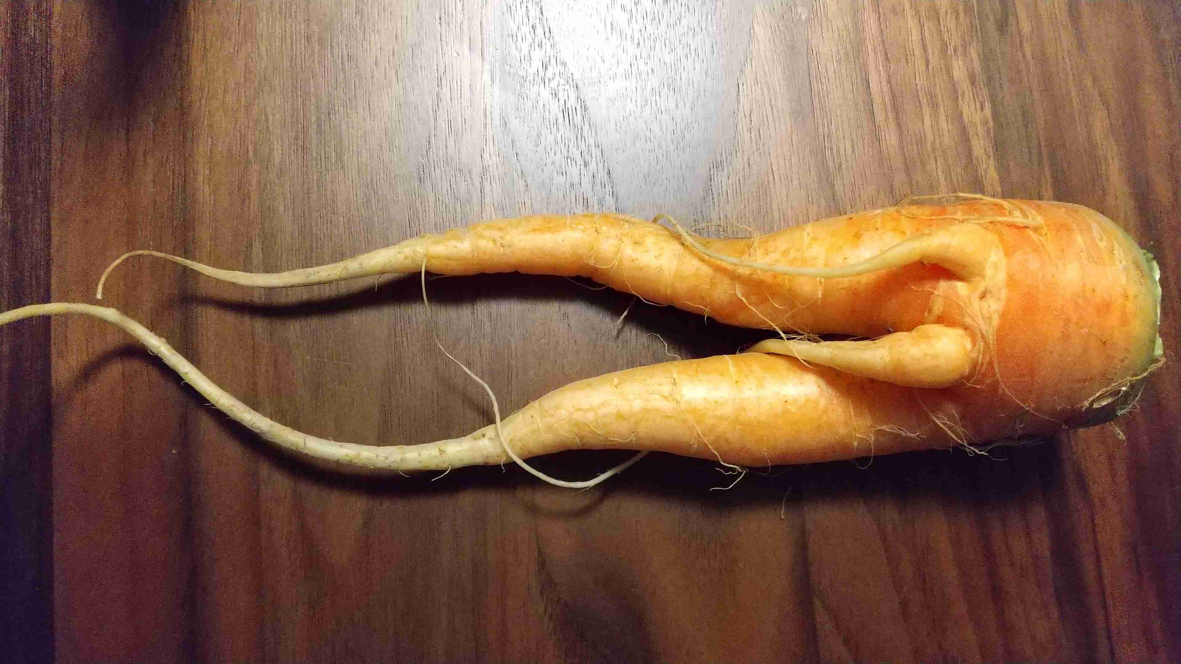 撮ったはいいけど誰にも見せられない写真を供養するトピ