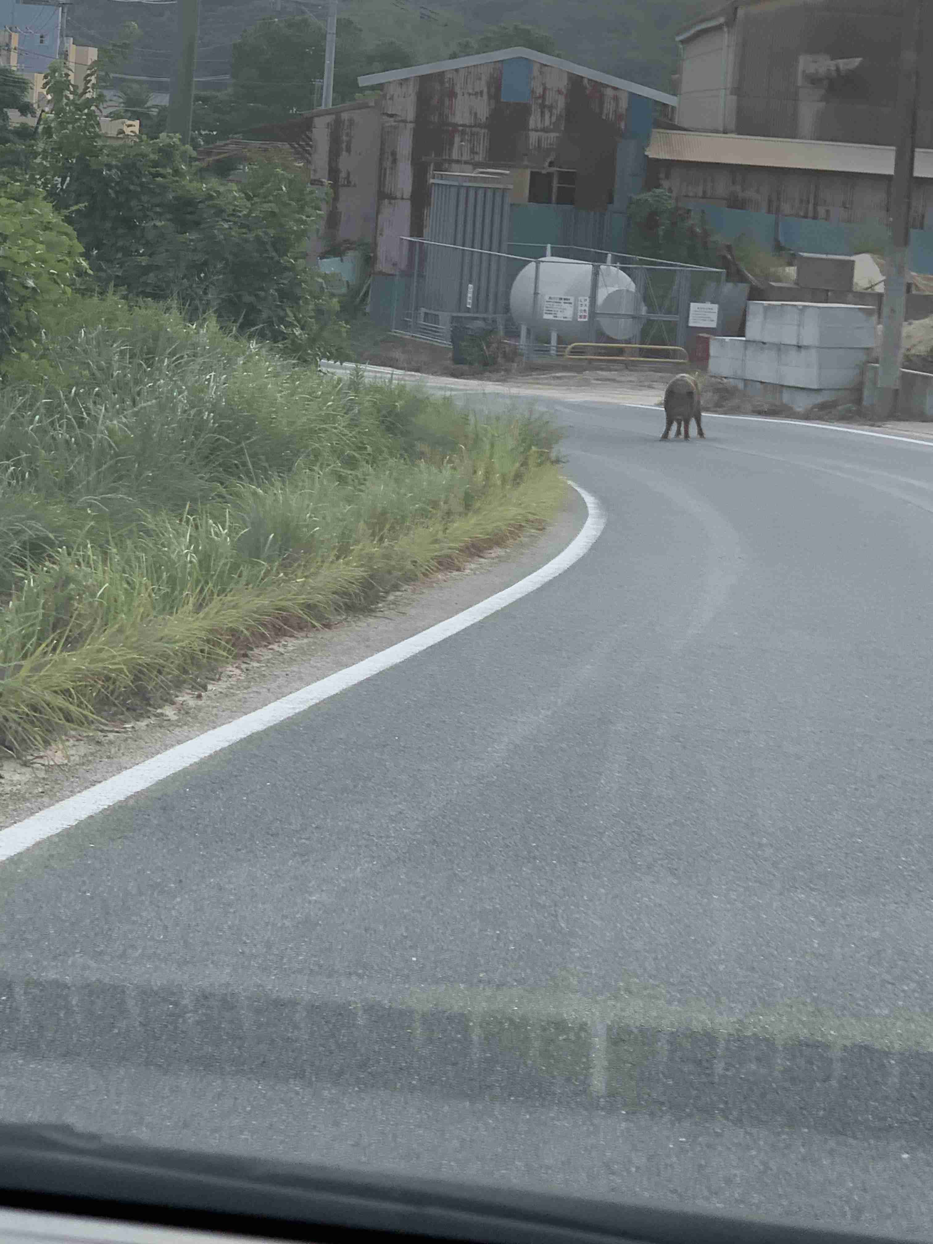 撮ったはいいけど誰にも見せられない写真を供養するトピ