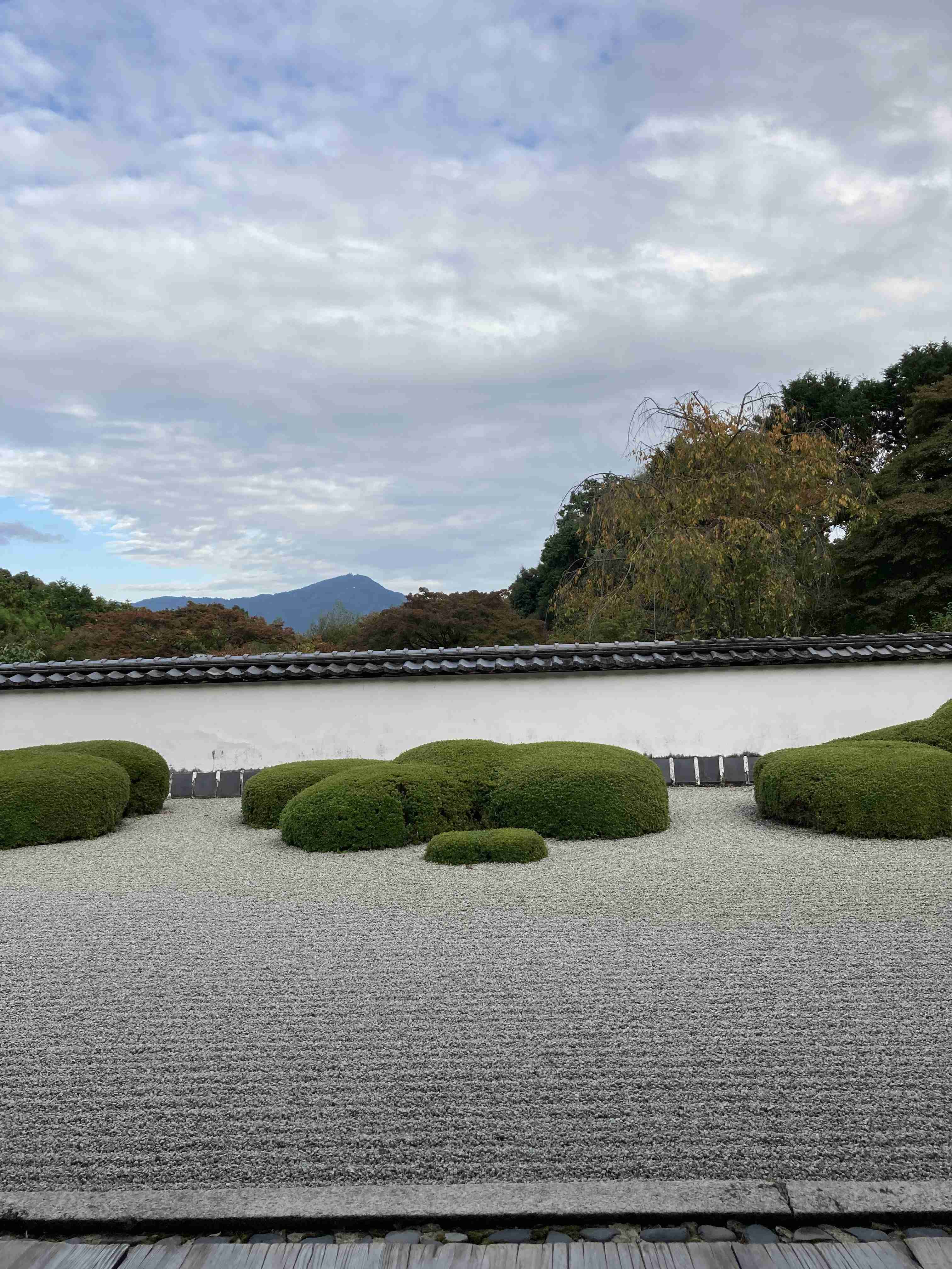 撮ったはいいけど誰にも見せられない写真を供養するトピ