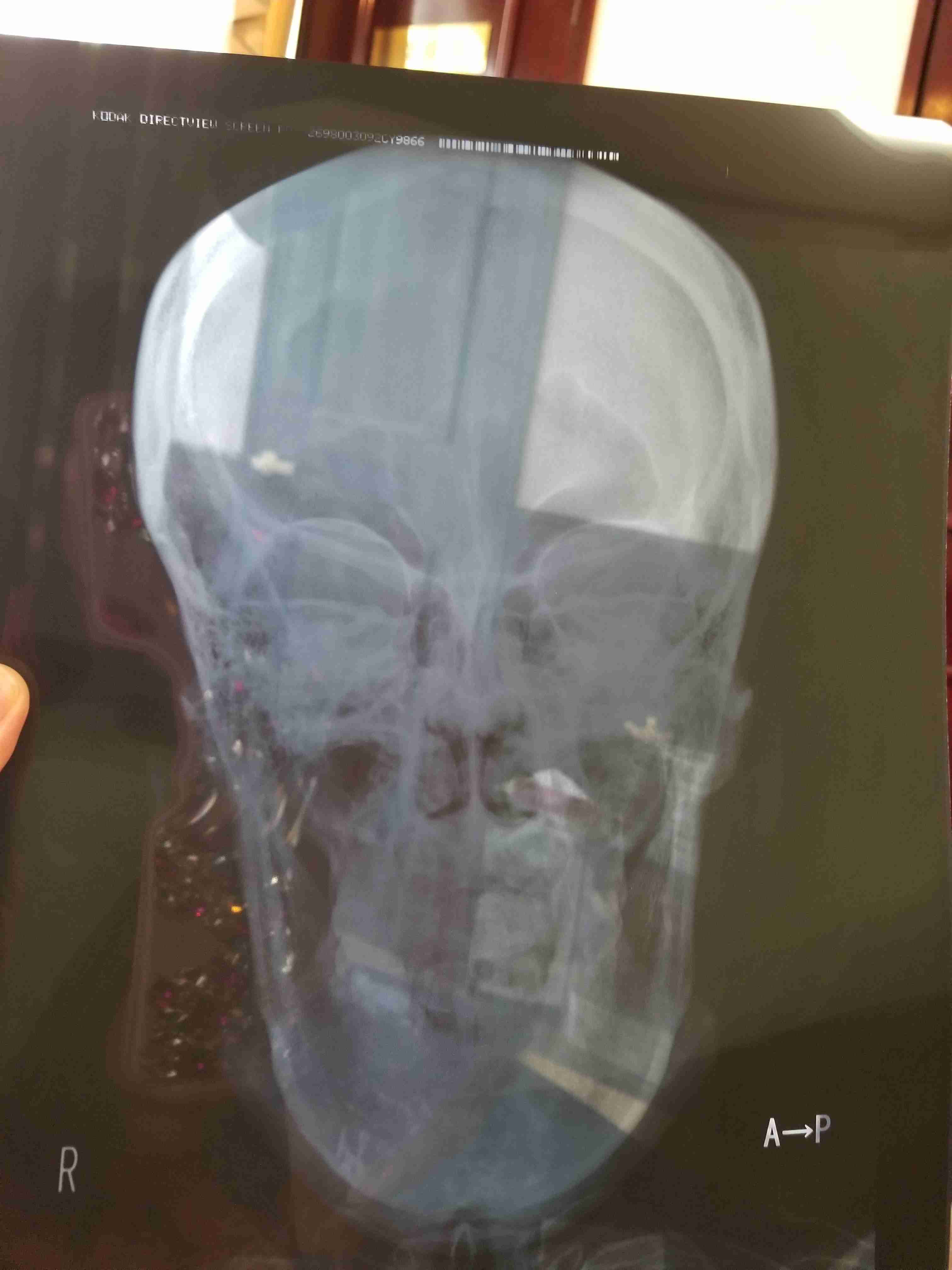 撮ったはいいけど誰にも見せられない写真を供養するトピ