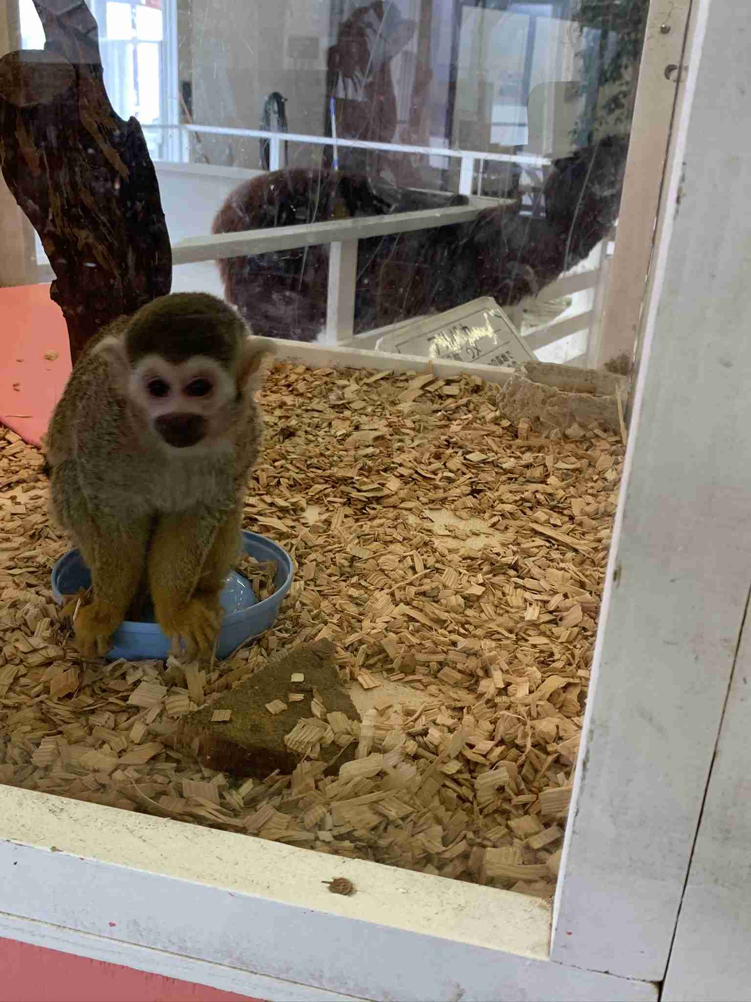 撮ったはいいけど誰にも見せられない写真を供養するトピ