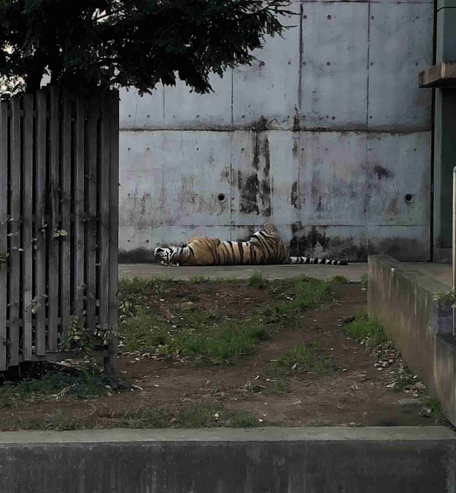 撮ったはいいけど誰にも見せられない写真を供養するトピ